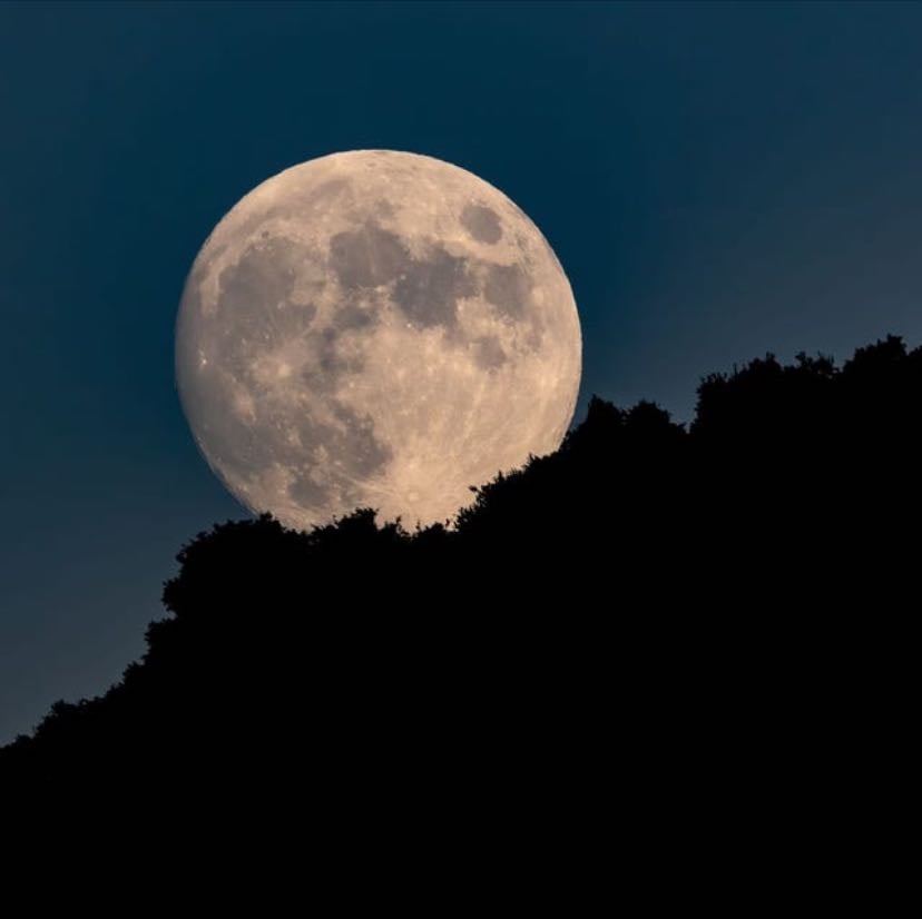 The moon