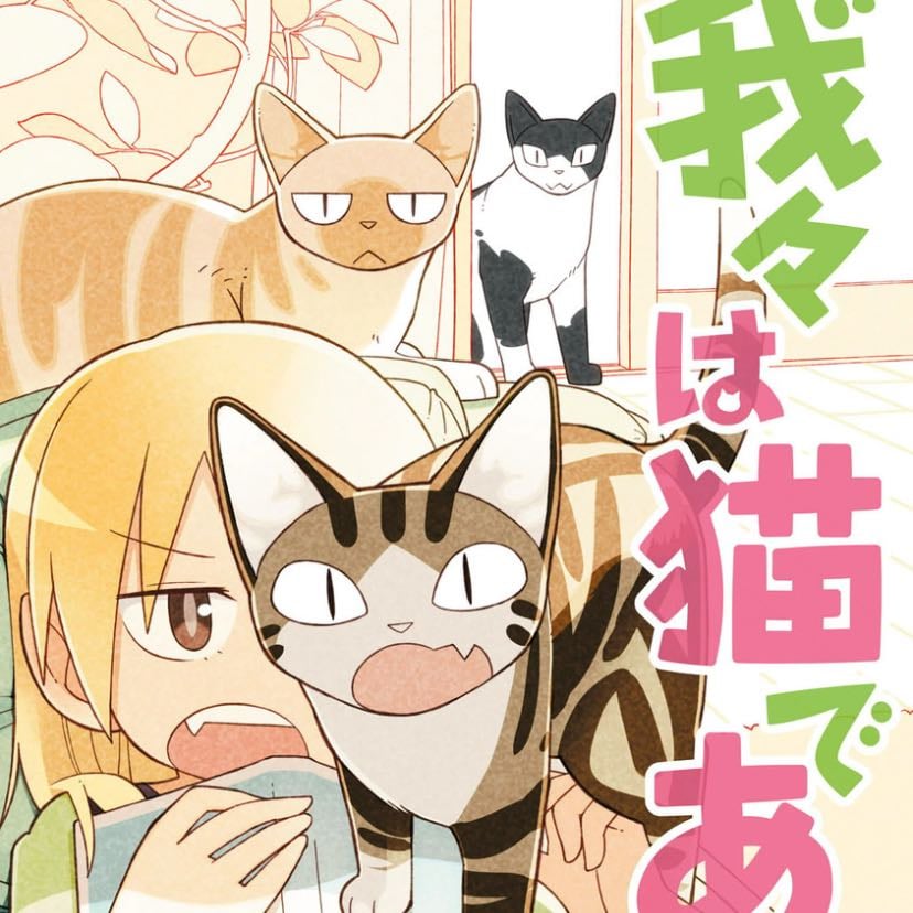 We are cats