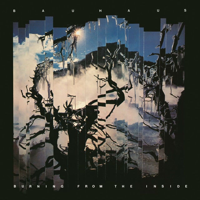 She's in Parties - Song Β· Bauhaus