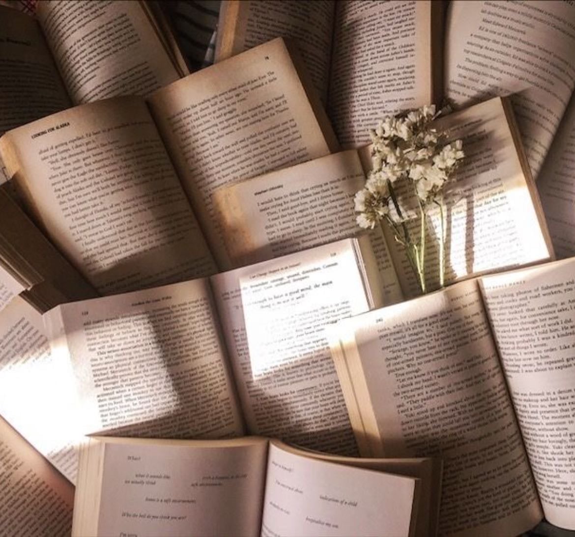 libros que quiero