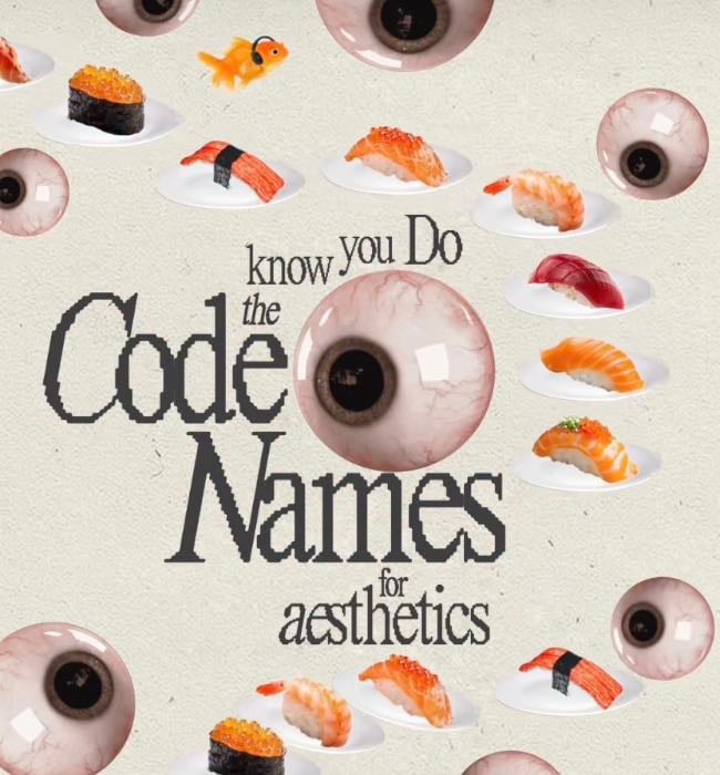 Aesthetic Codes - names for different aesthetics