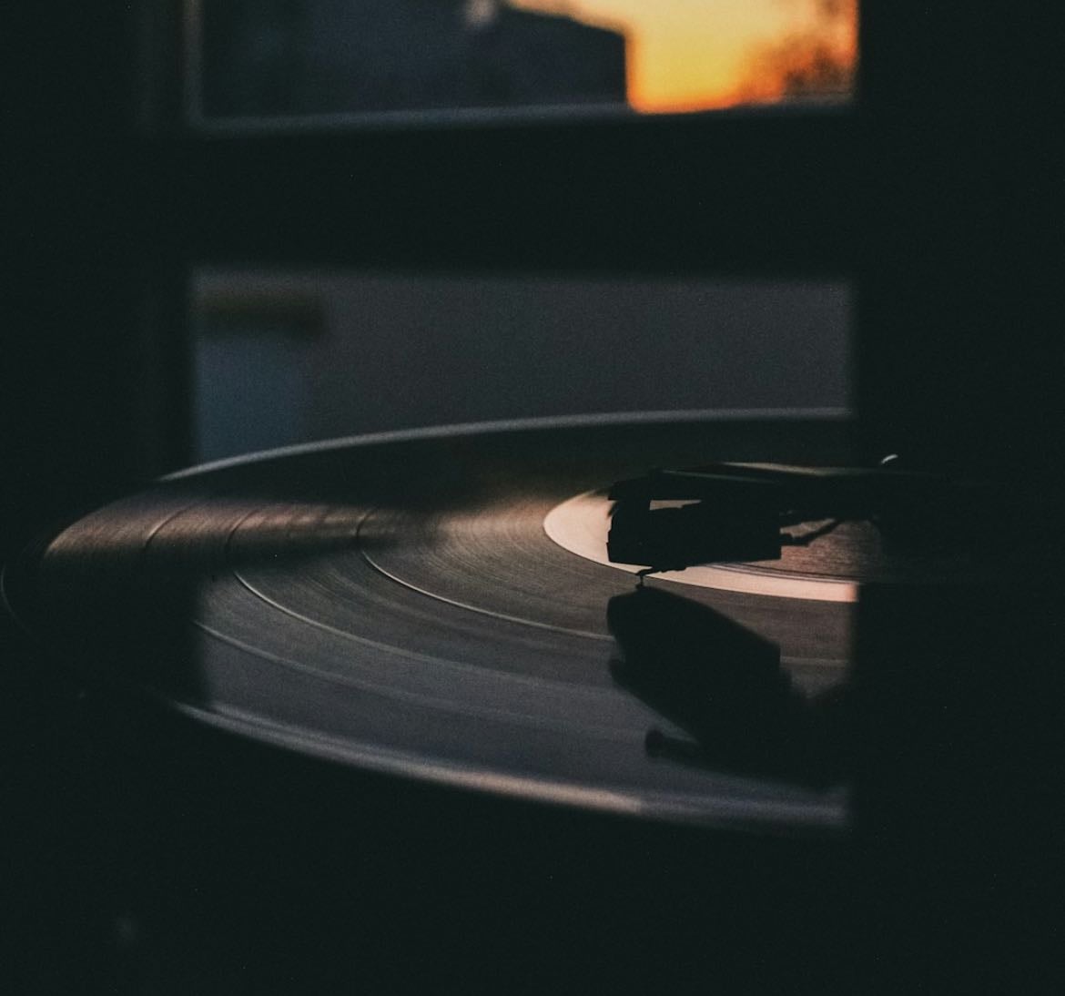songs of the day - Music hypelist by Ava Tognacci