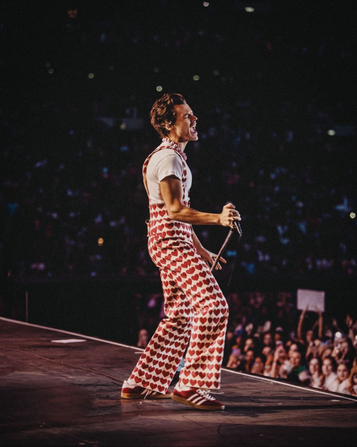 Harry Styles Concert