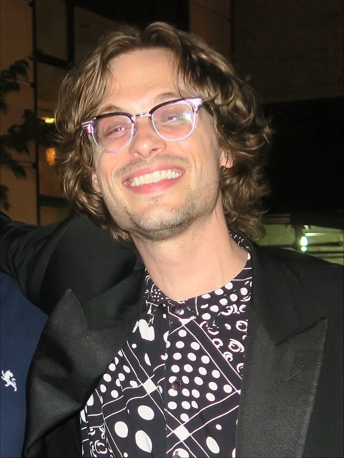 matthew grey gubler
