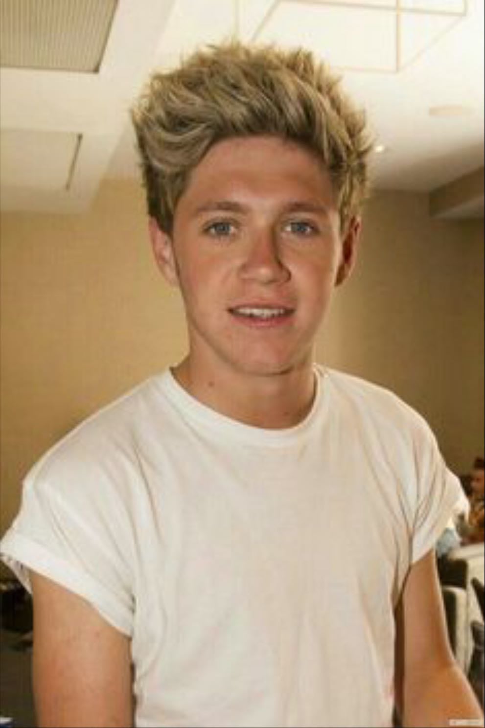 niall horan