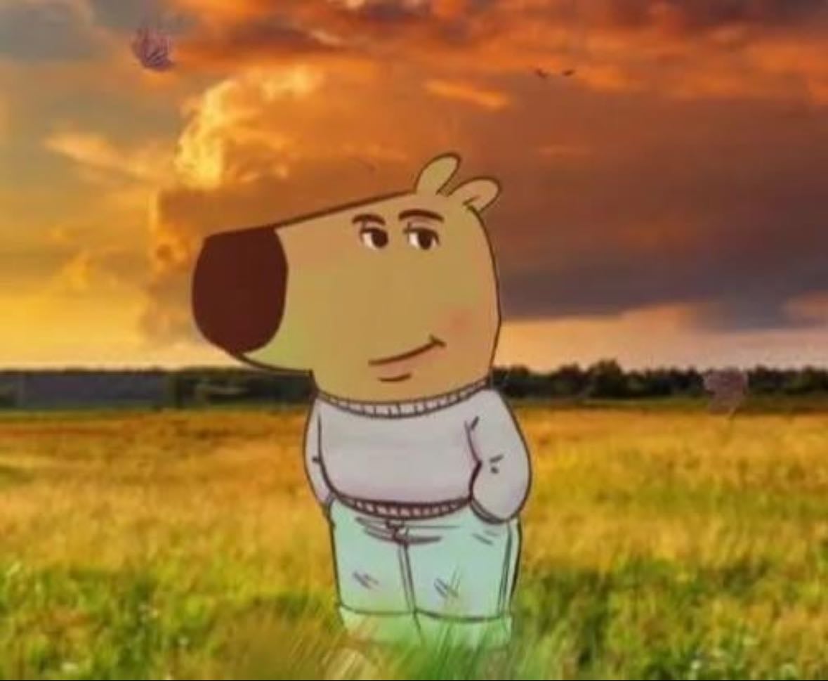 Youâre finally getting chill with life ; - You donât force things anymore, you enjoy the present moment no matter how small it is, you donât take everything personally, youâre okay with not knowing everything, you laugh more and stress less bc itâs all part of the ride and youâre here to enjoy it â€ïžâđ©č