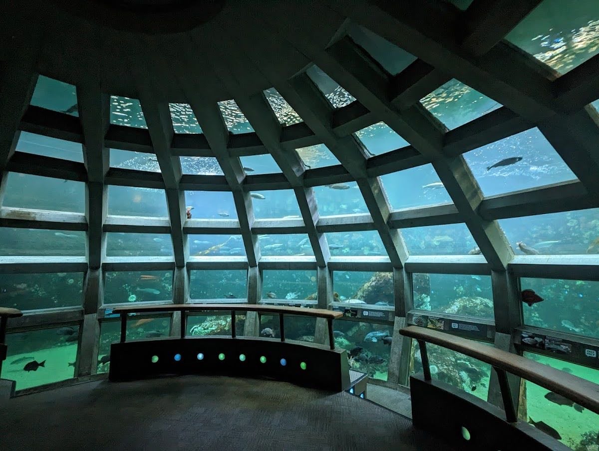 Seattle Aquarium