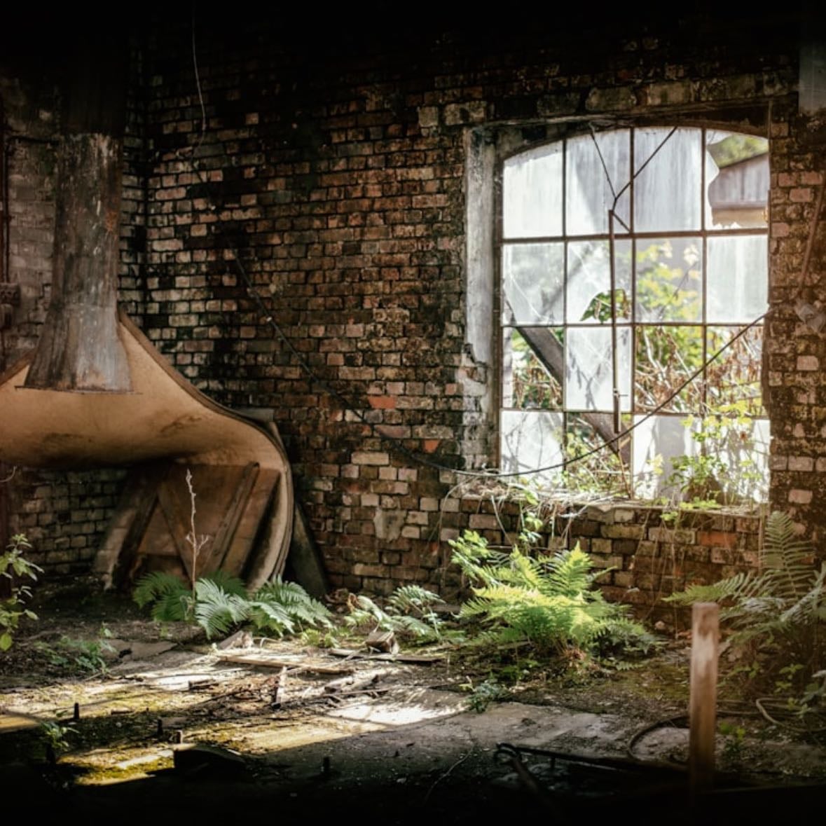 The Last of Us - Craig Mazin, Neil Druckmann · 2023