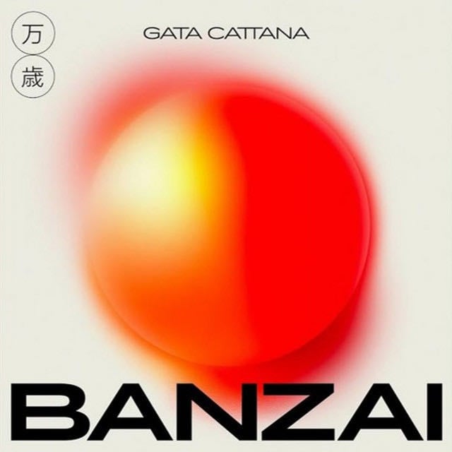 Gata Cattana - Artist