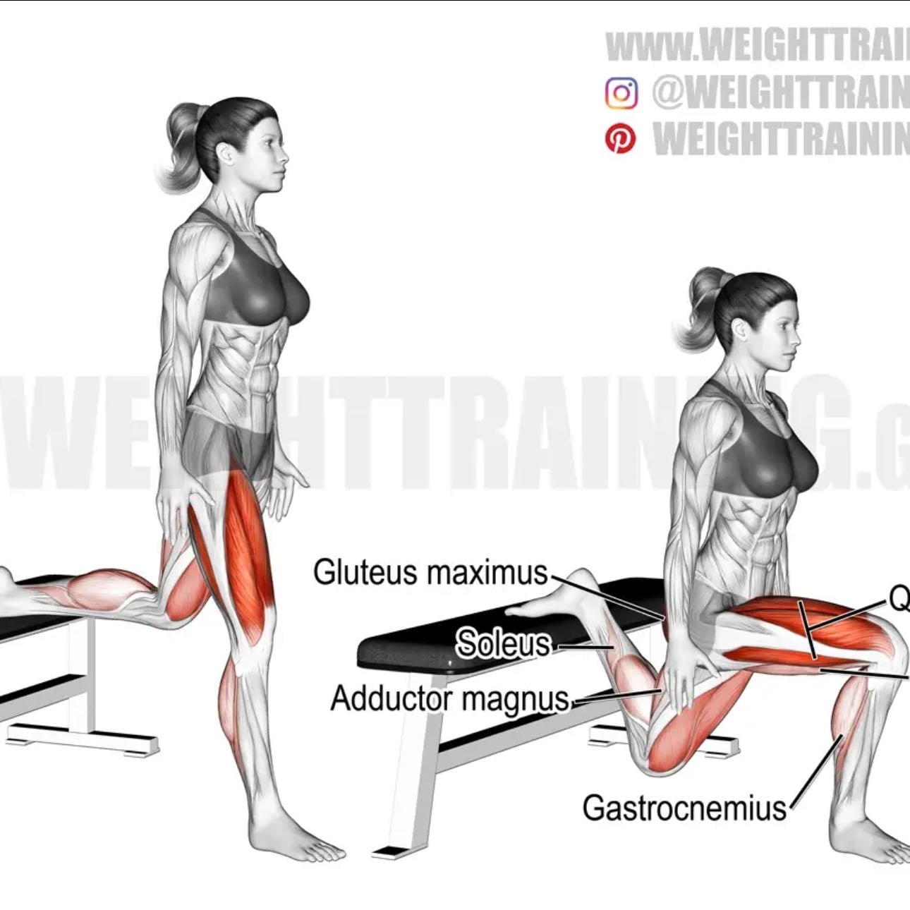 Bulgarian split squads - 3 sets, 10-12 reps per leg
