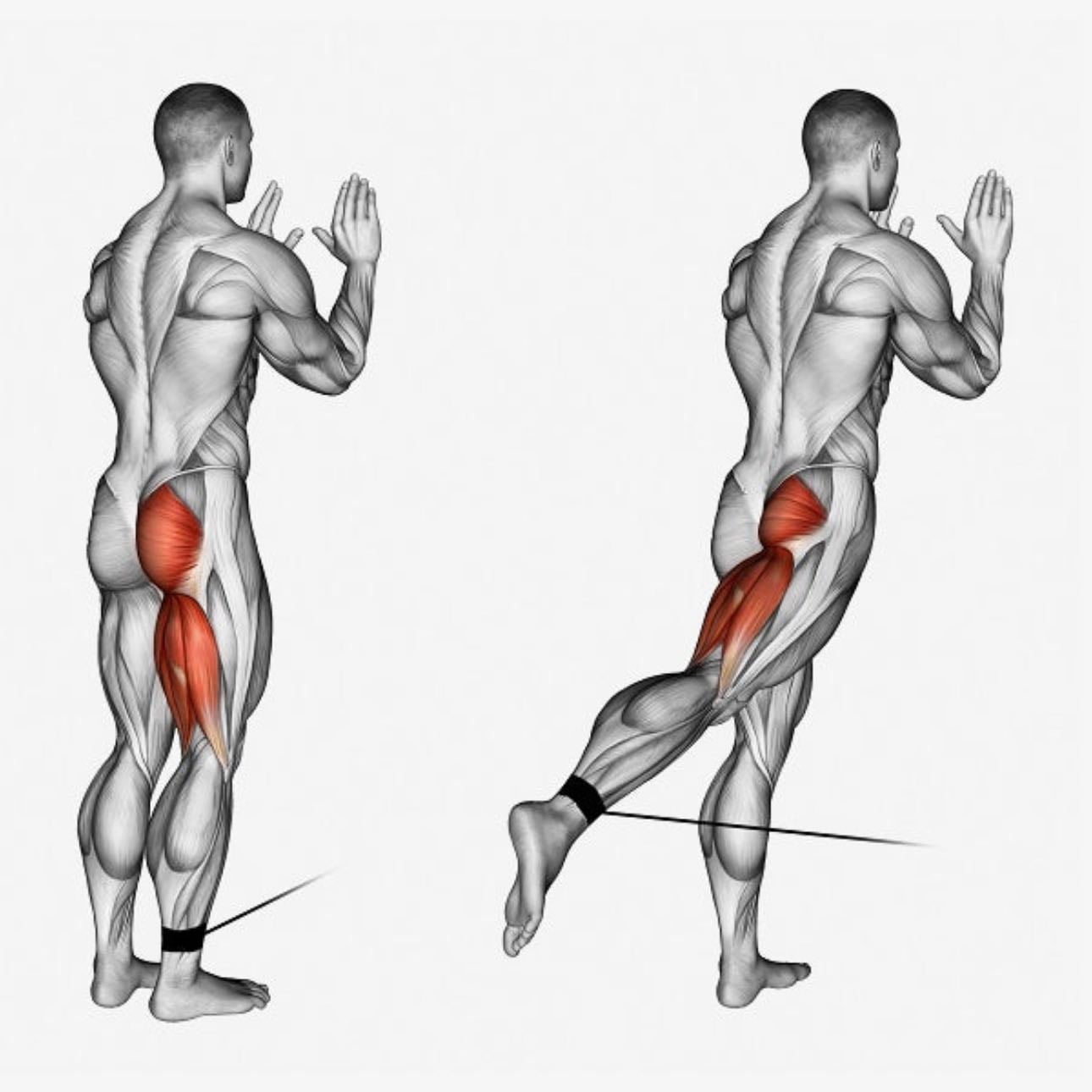 Glute Kickbacks - 3 sets, 15-20 reps per leg