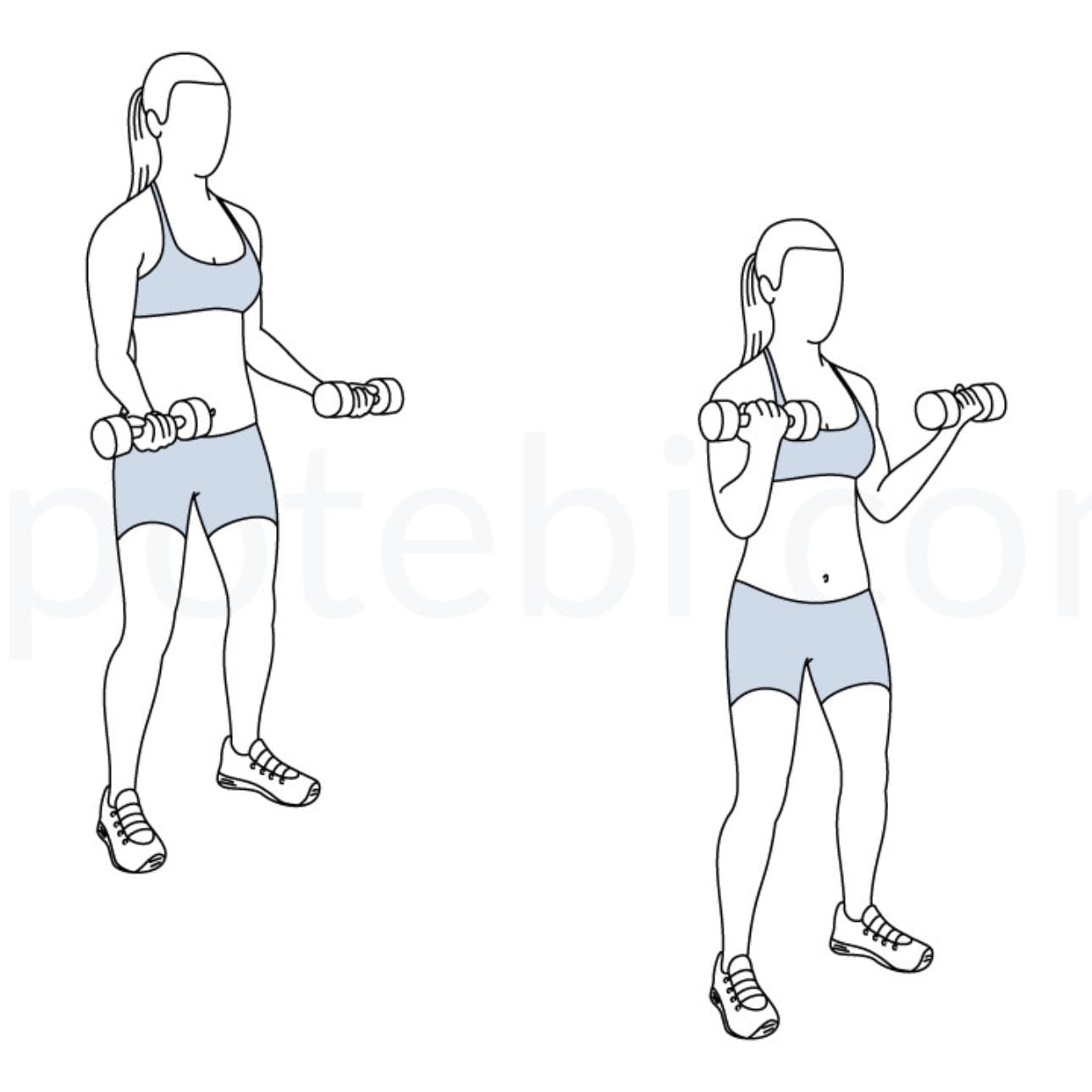 Dumbbell bicep curls - 3 sets, 10-15 reps