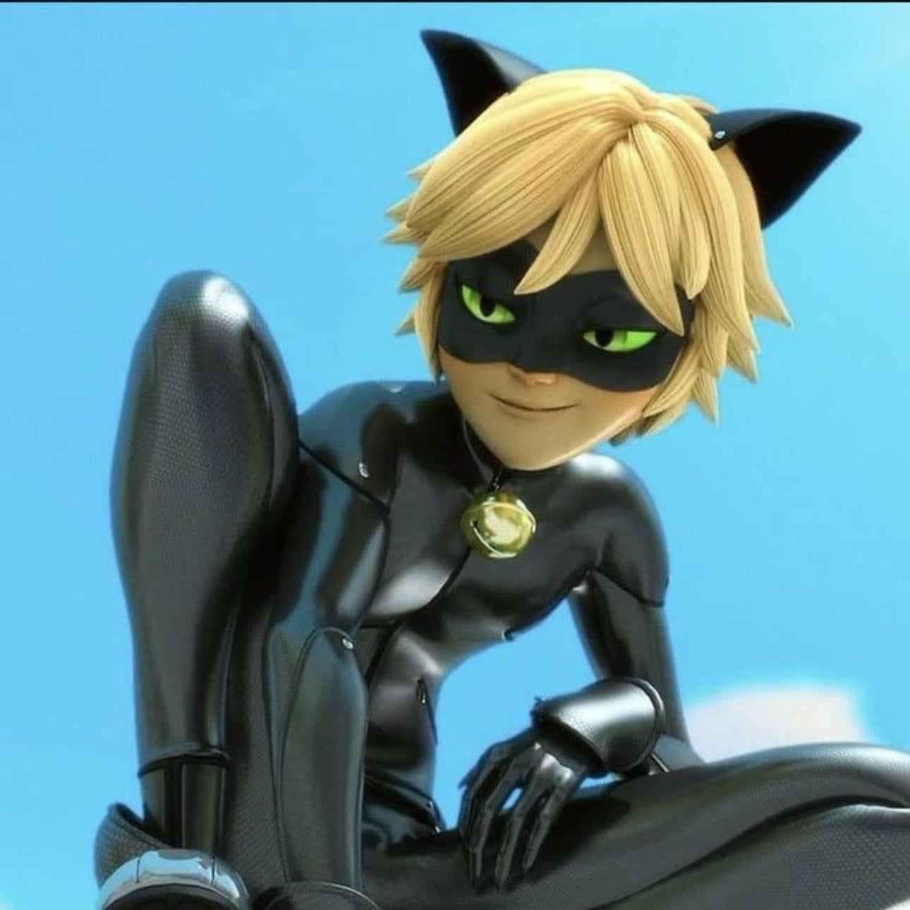 Catnoir - Ladybug