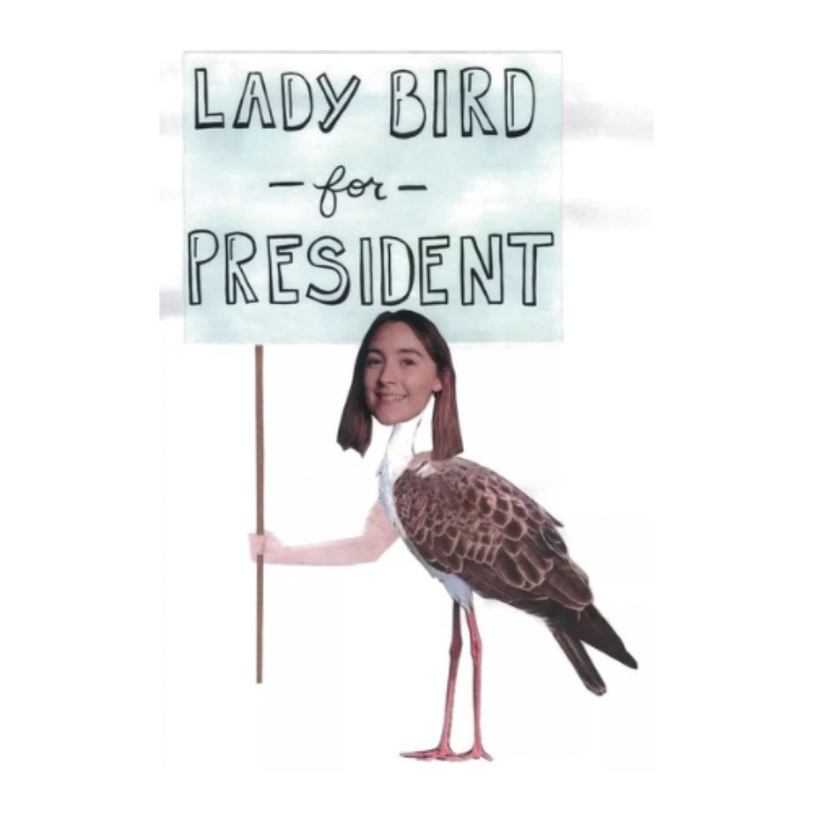 lady bird - Greta Gerwig · 2017