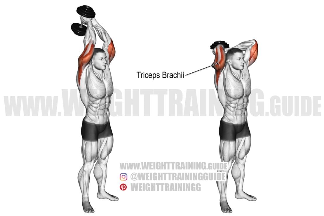 Overhead Dumbbell Tricep