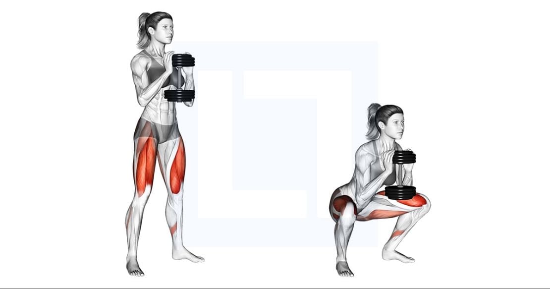 Dumbbell Squat