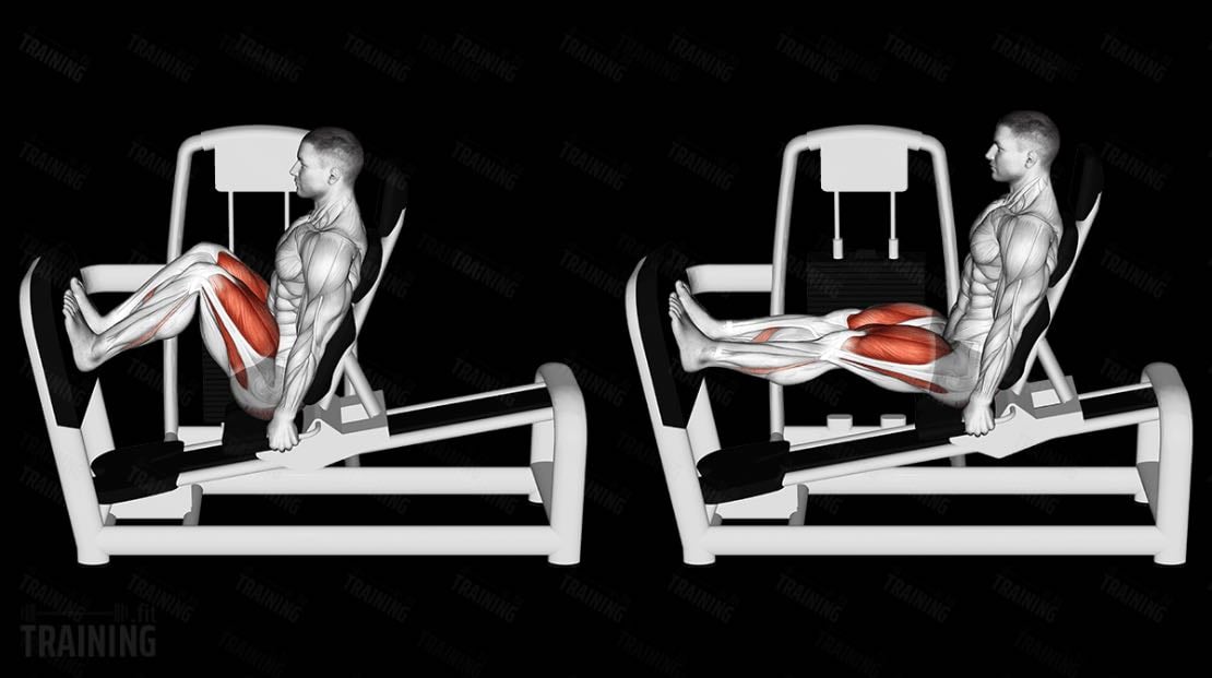Leg Press