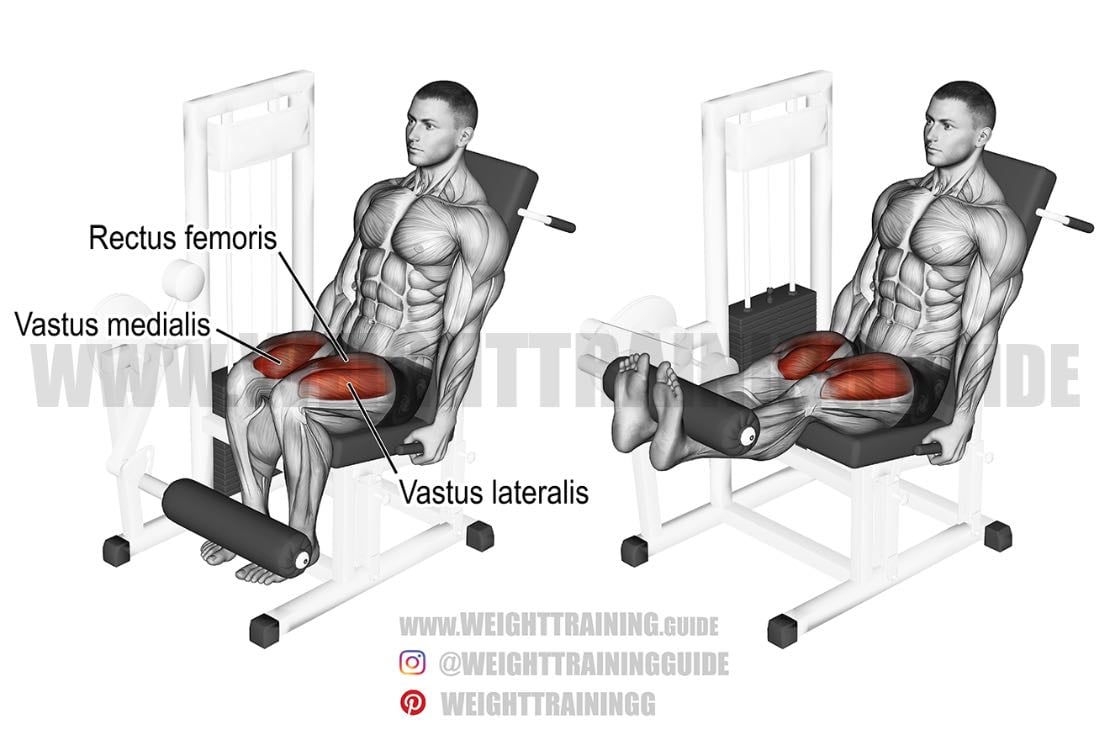 Leg Extention