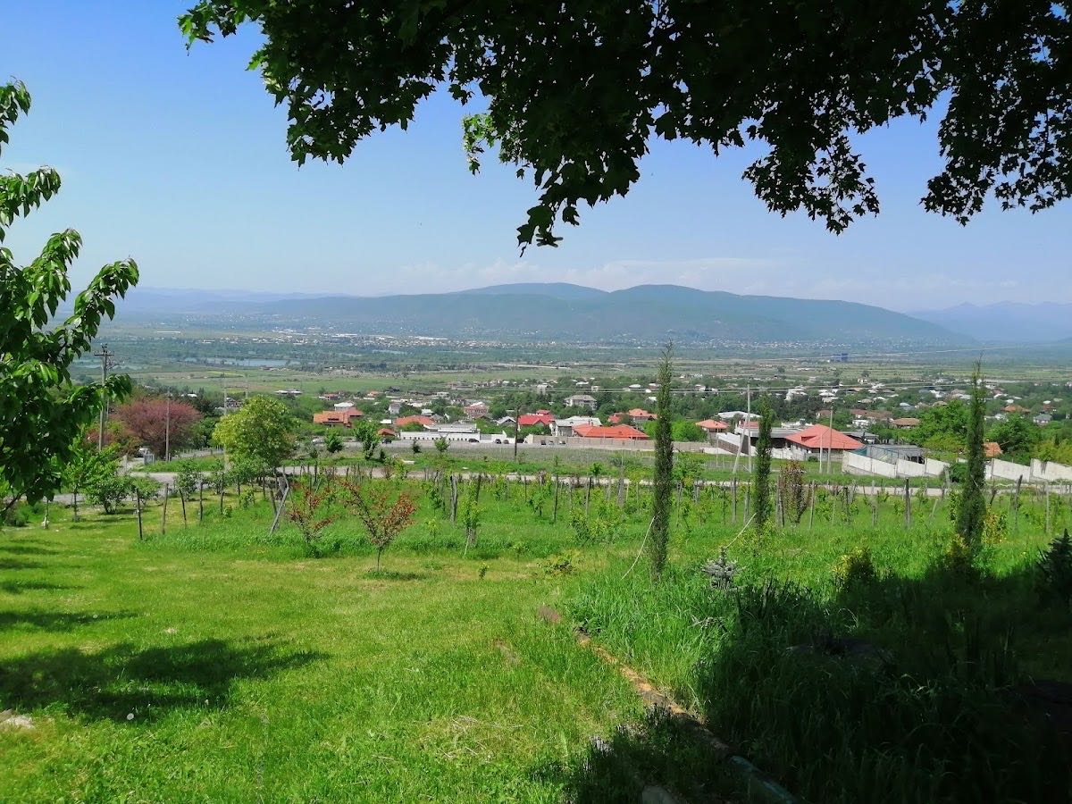 საგურამო