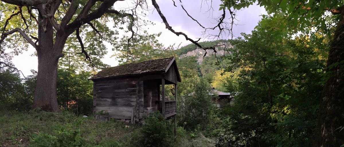 მოტყიარი