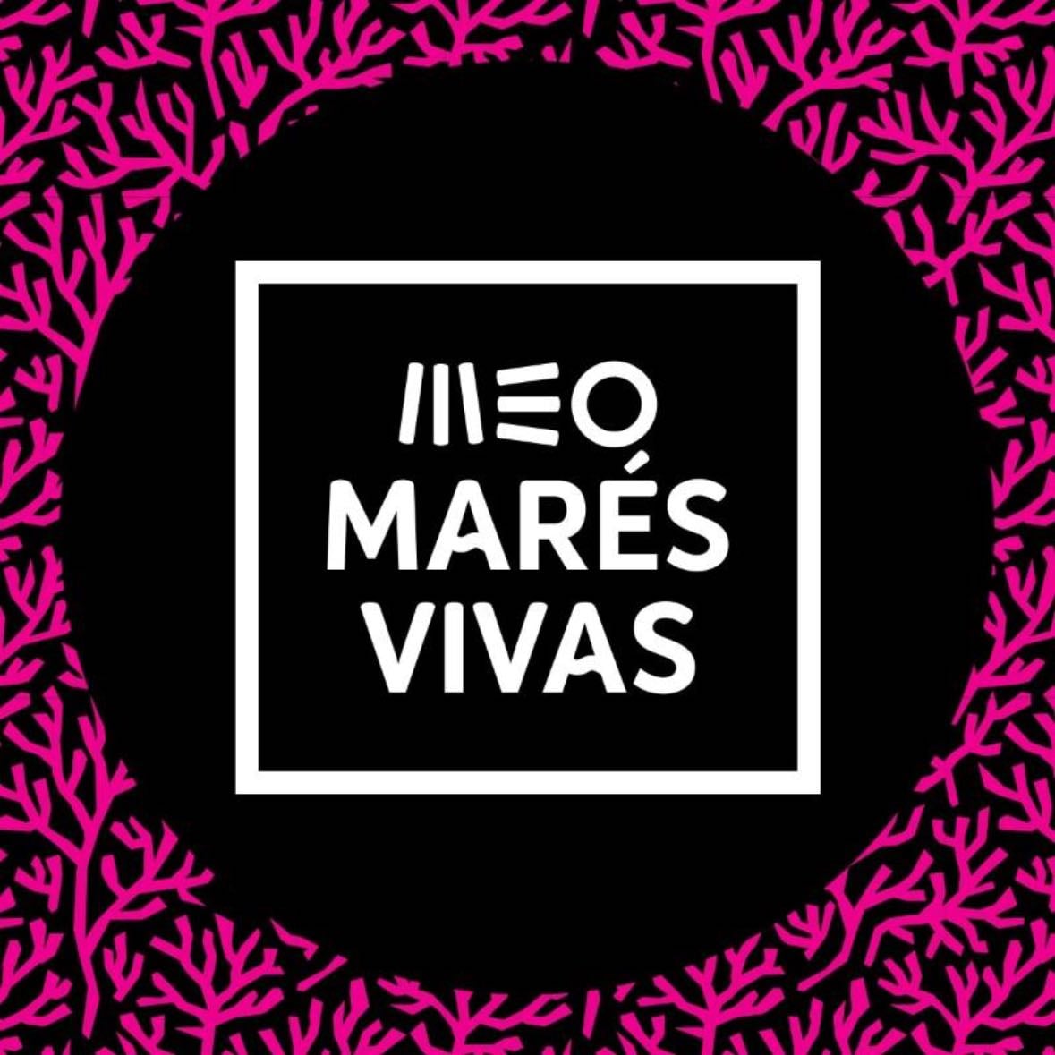 David Guetta (Meo Marés Vivas) - 21.07.2018