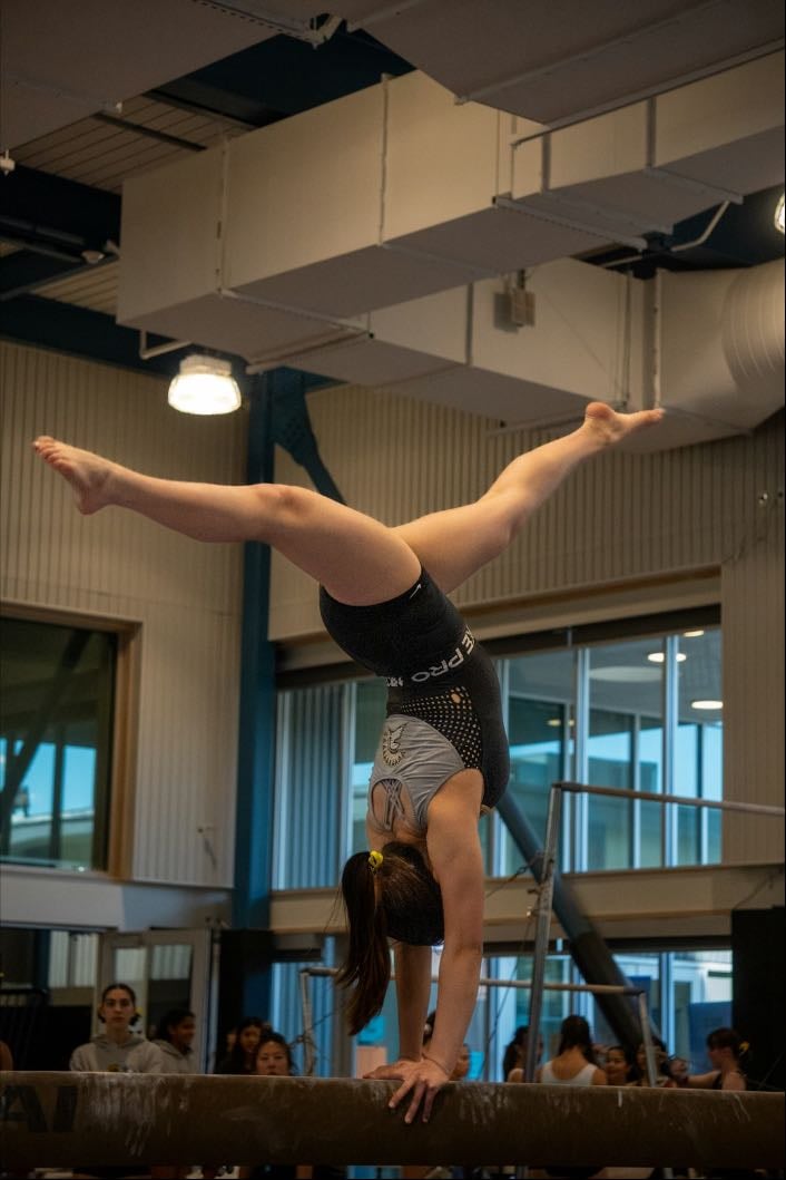 Gimnasia artística