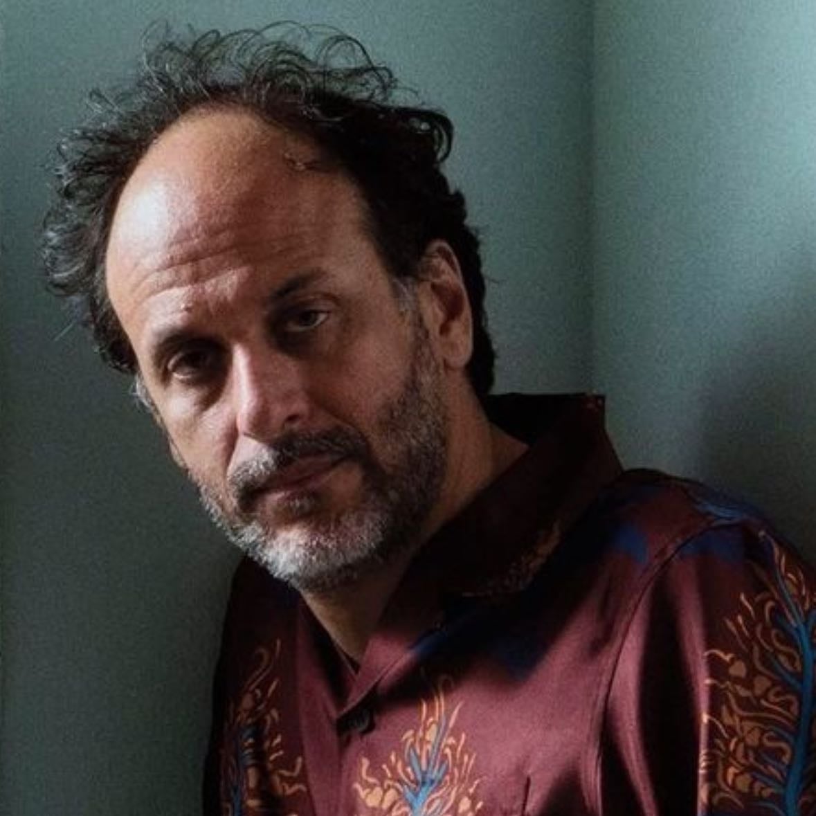 Luca Guadagnino - THE ONLY DIRECTOR