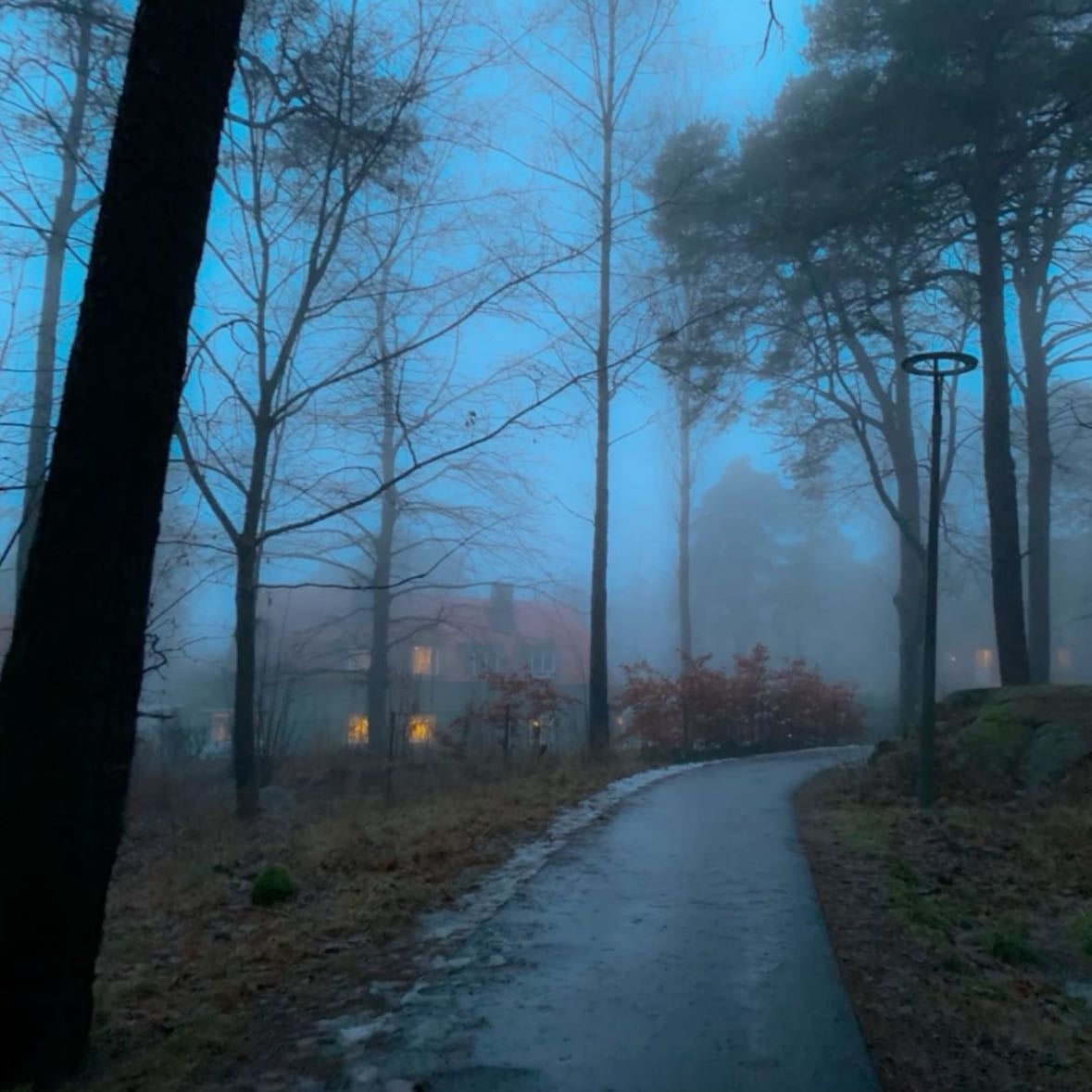 Foggy nights - In sep - nov