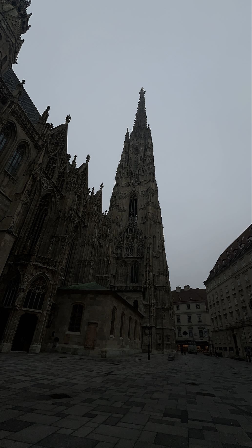 stephenplatz </3