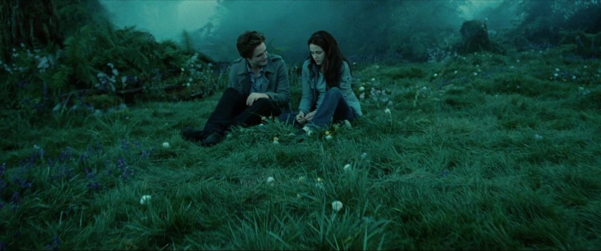 twilight - 🎞️