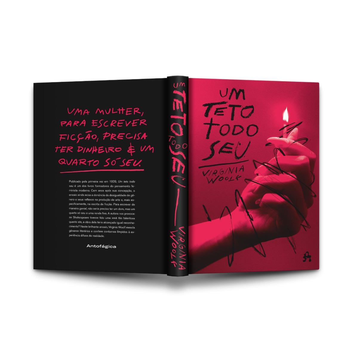 Um Teto Todo Seu - Virginia Woolf