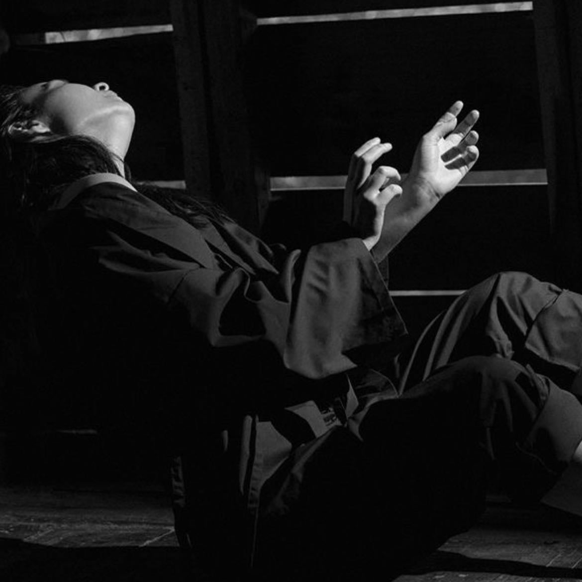 The Land Is Inhospitable and So Are We - Album · Mitski
