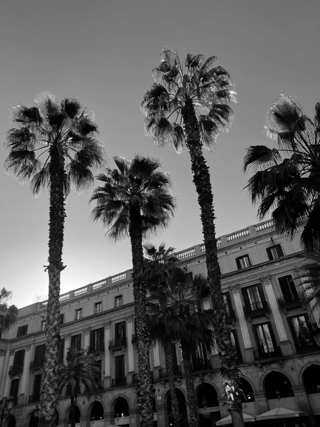 Barcelona - Spain