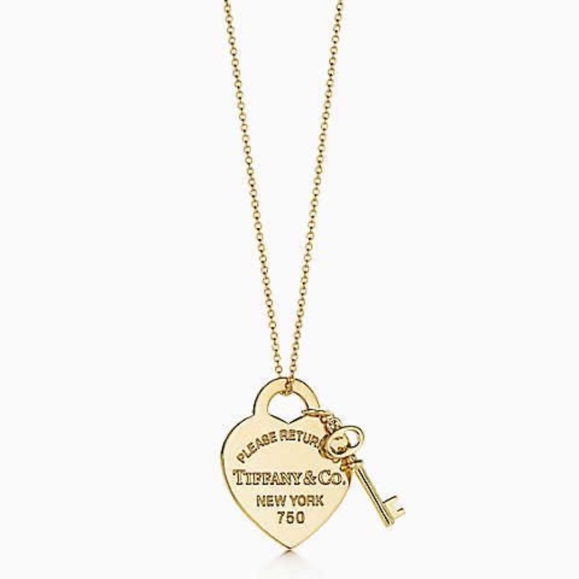 Tiffany&Co Necklace - Jewelry