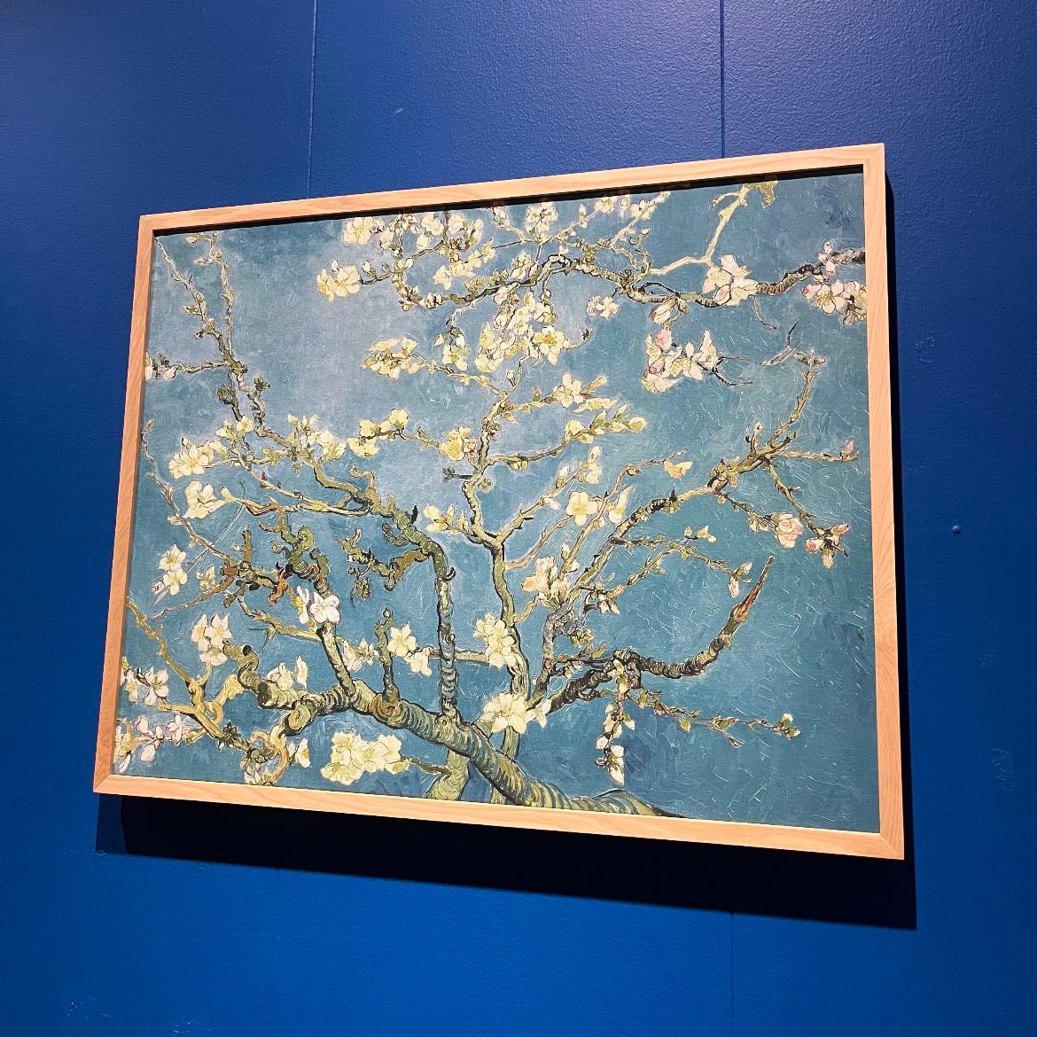 Museo Artequin