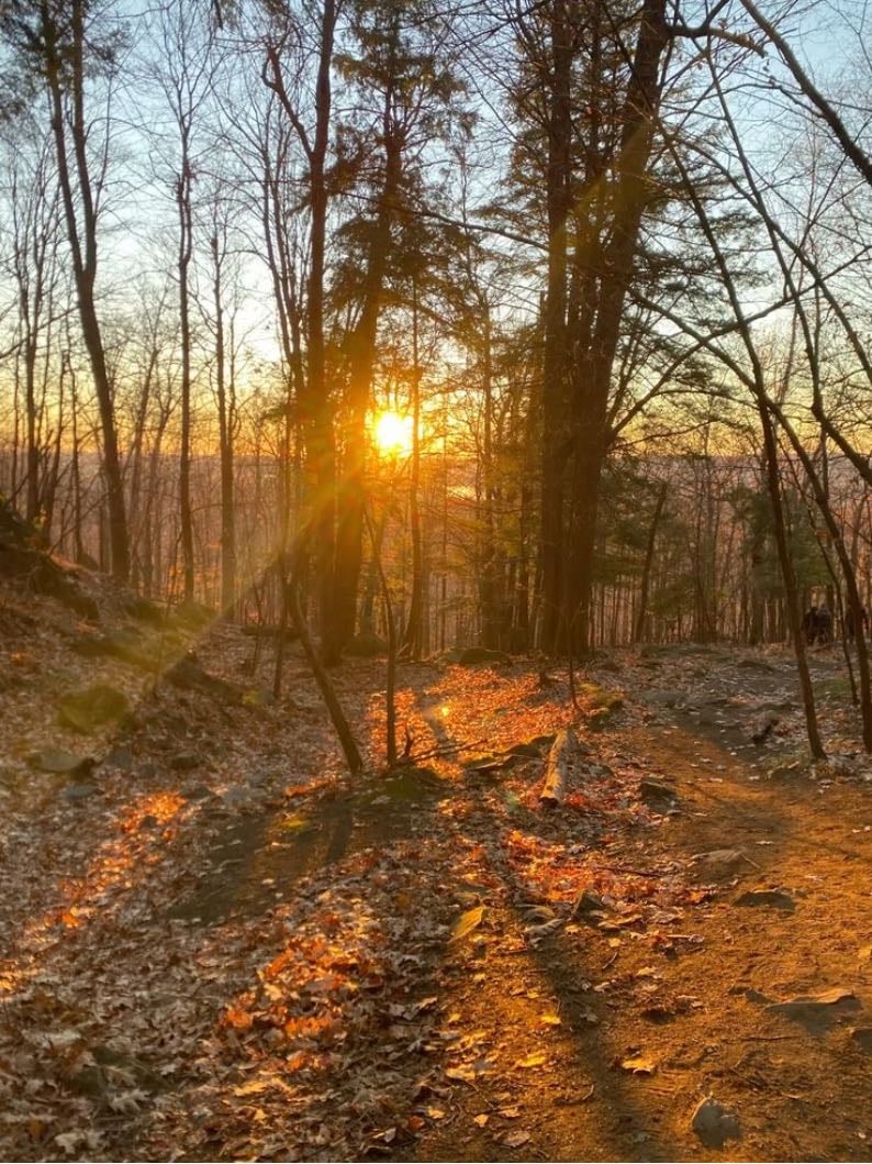Quiet walks in nature when everything felt peaceful