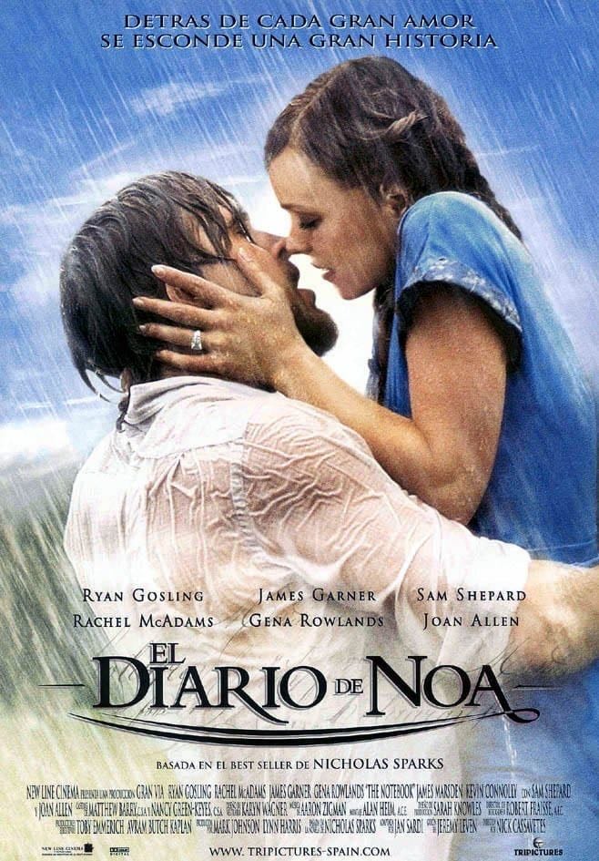 N'oublie jamais - Nick Cassavetes · 2004