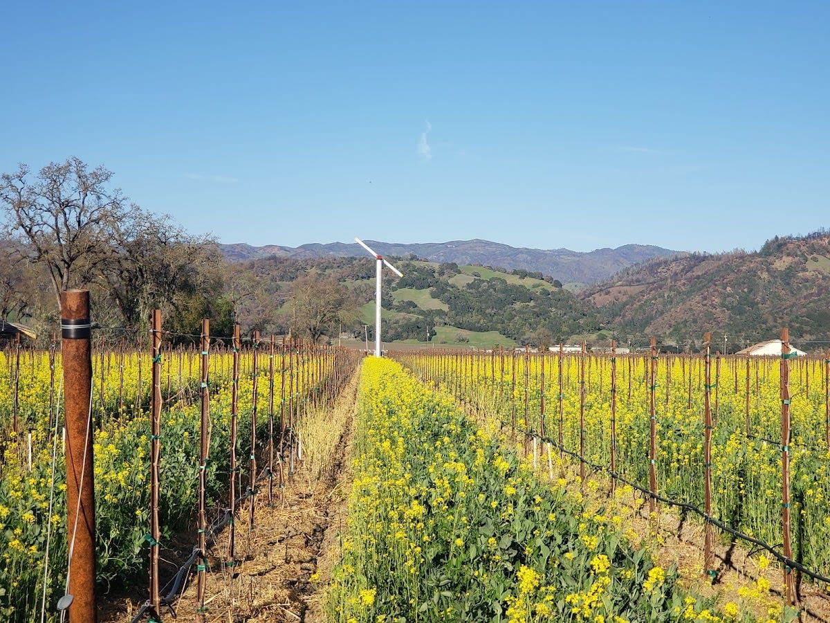 Alexander Valley