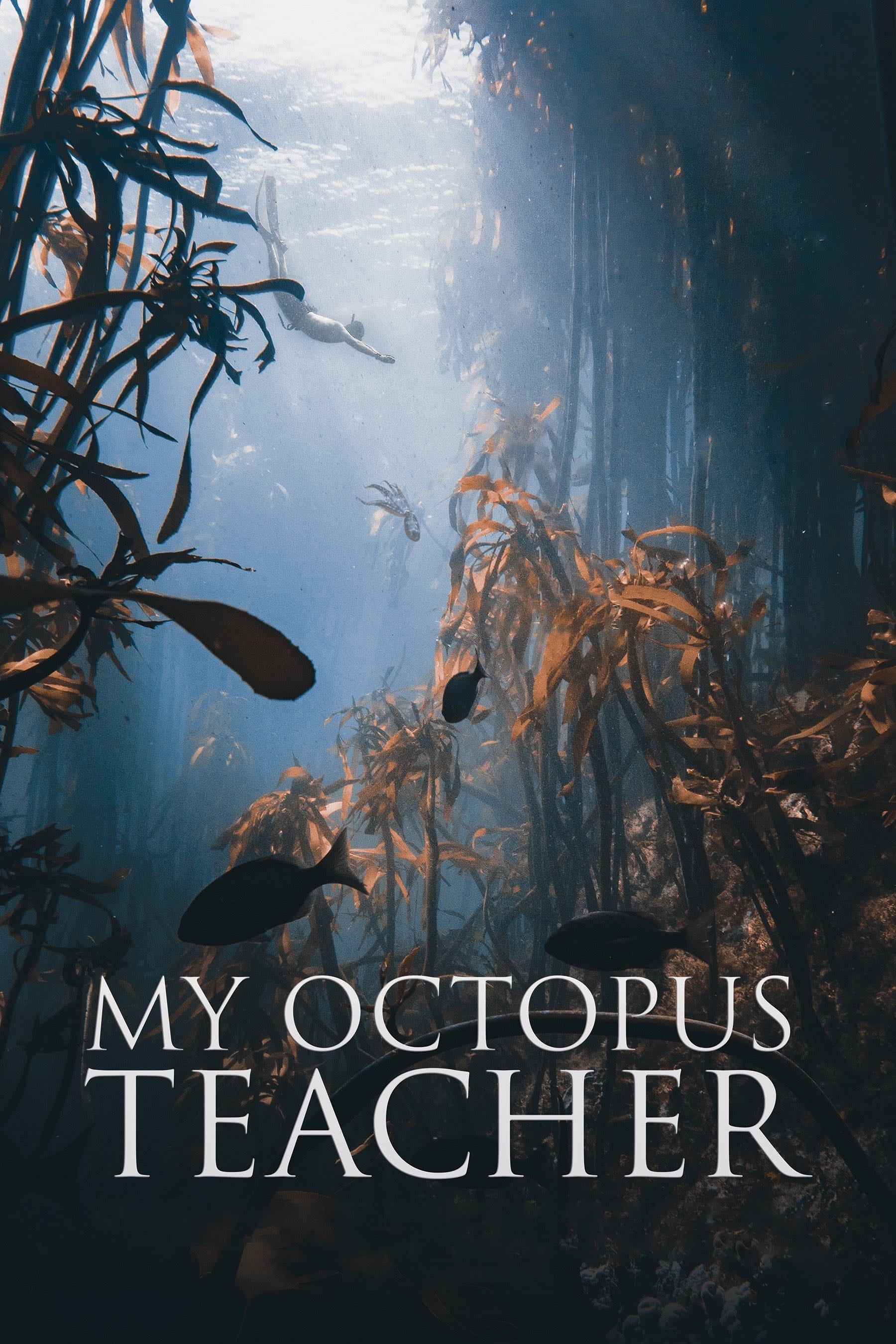 My Octopus Teacher - Philippa Ehrlich · 2020