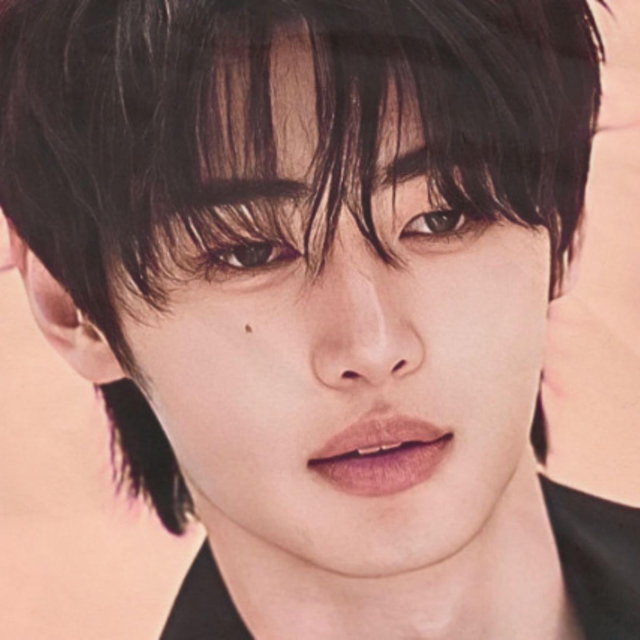 a reunion to remember | jaylaxies - simp sunghoon x popular reader