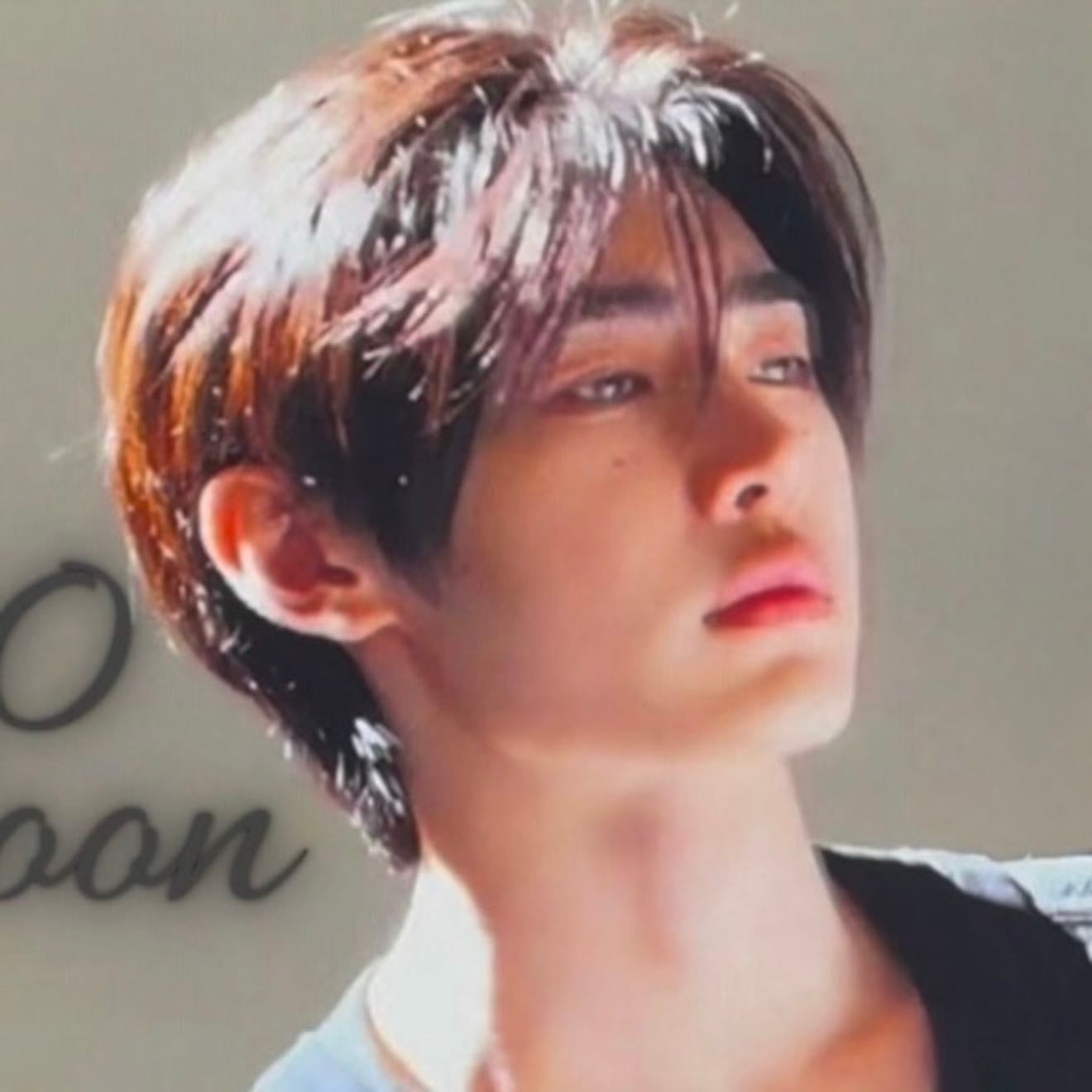 1-800-hoon | prkhaven - brat tamer sunghoon x jays girlfriend reader