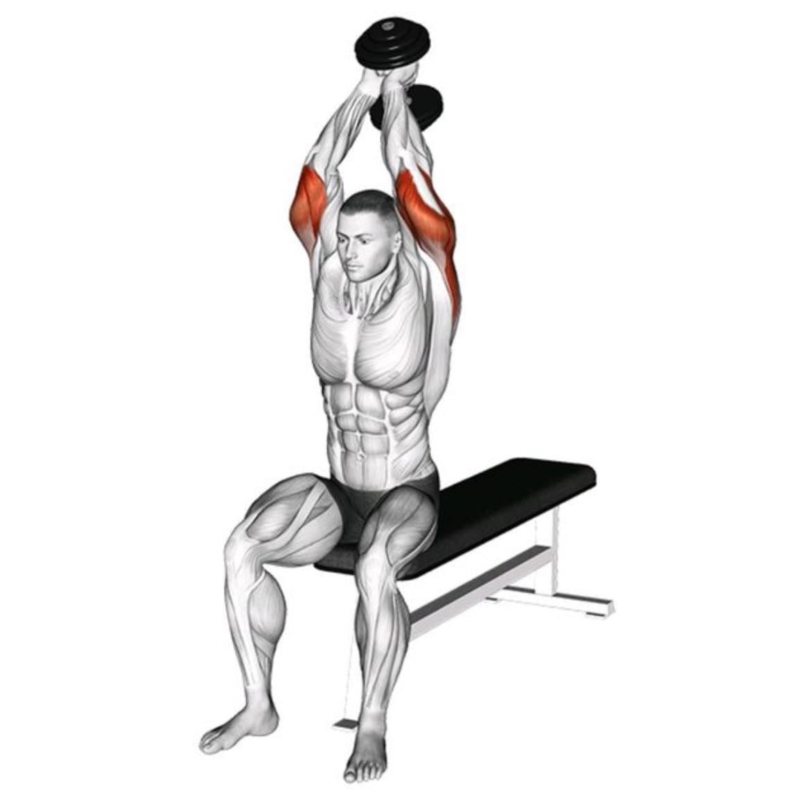 dumbbell