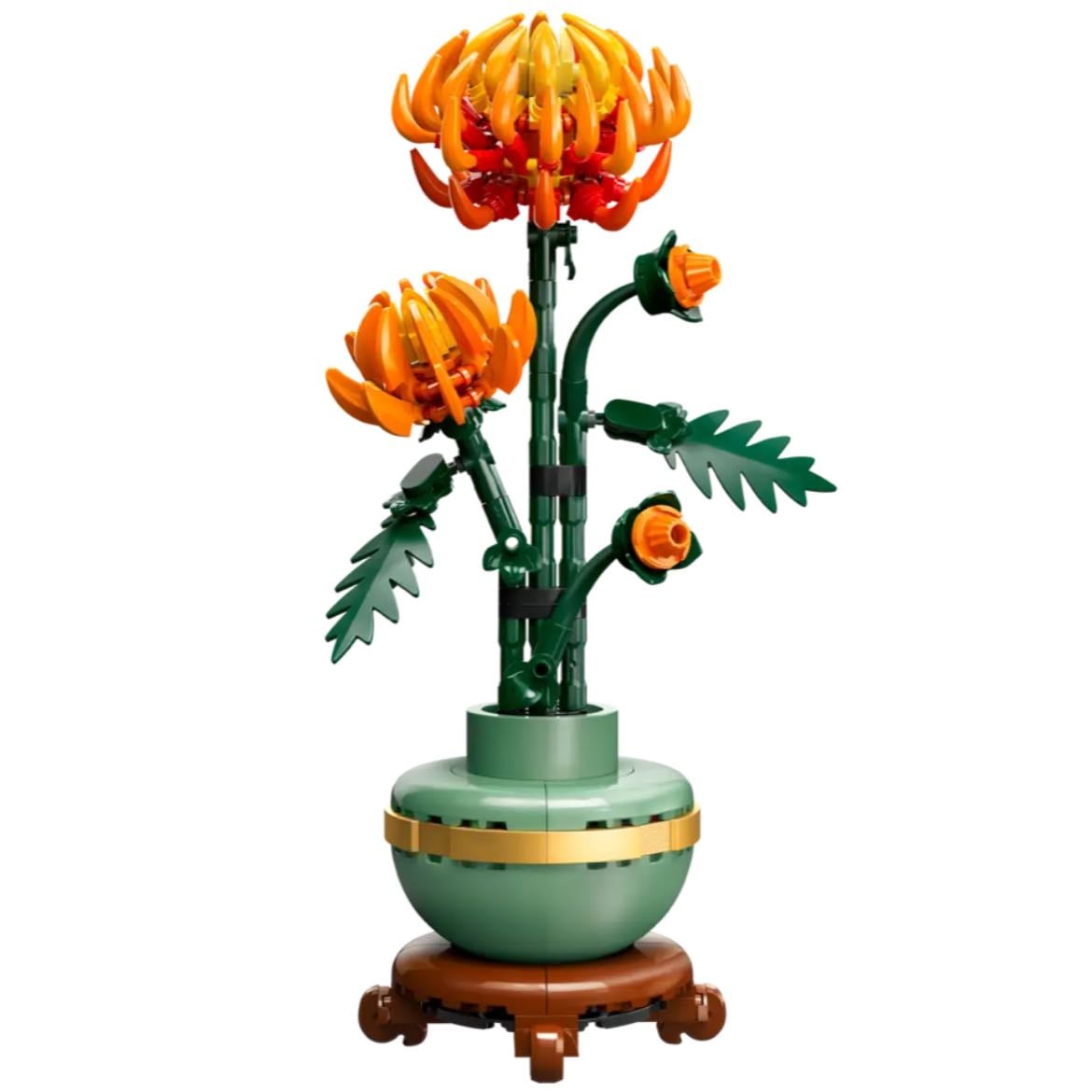 Le chrysanthèmes - 29,99