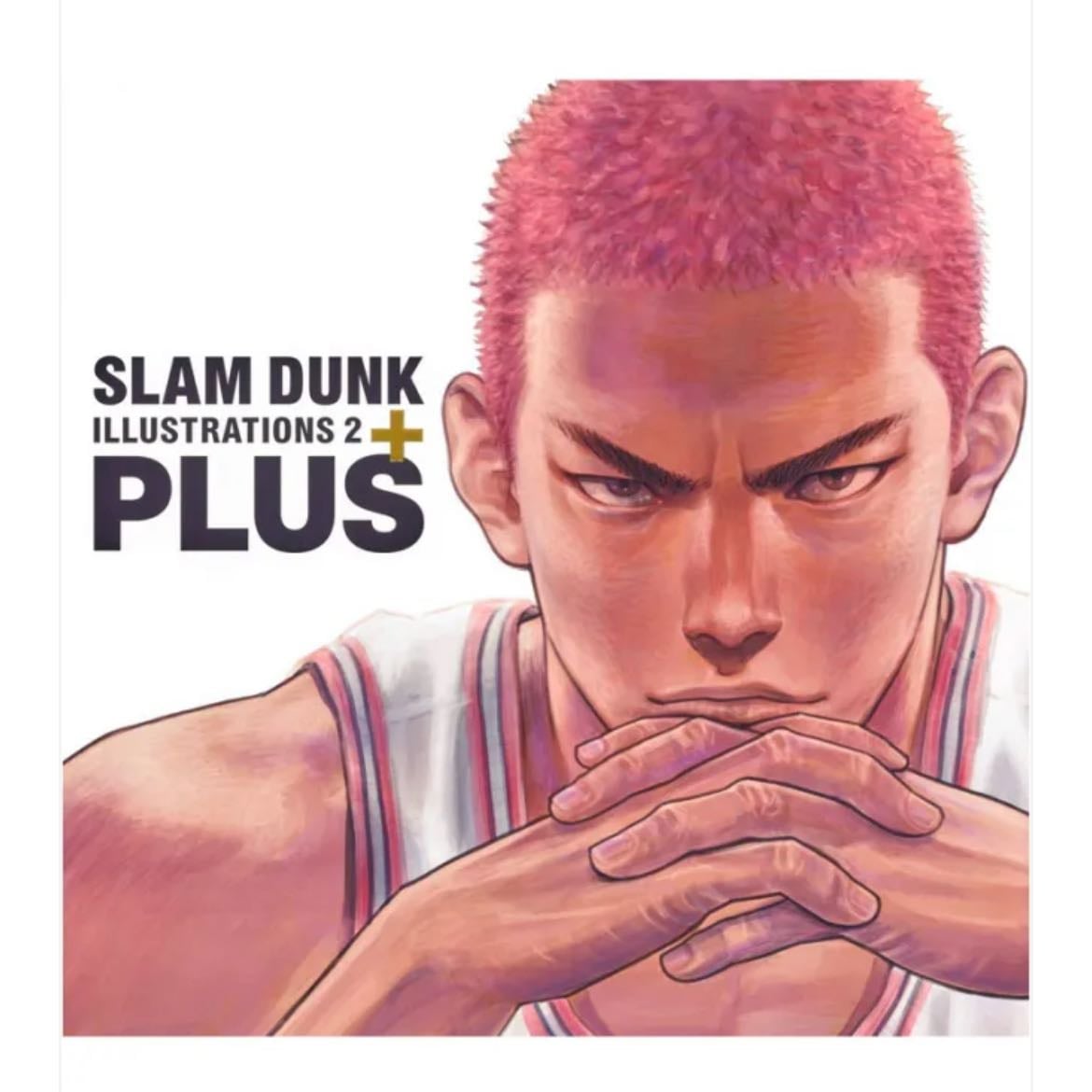 Slam dunk PLUS - 45-50