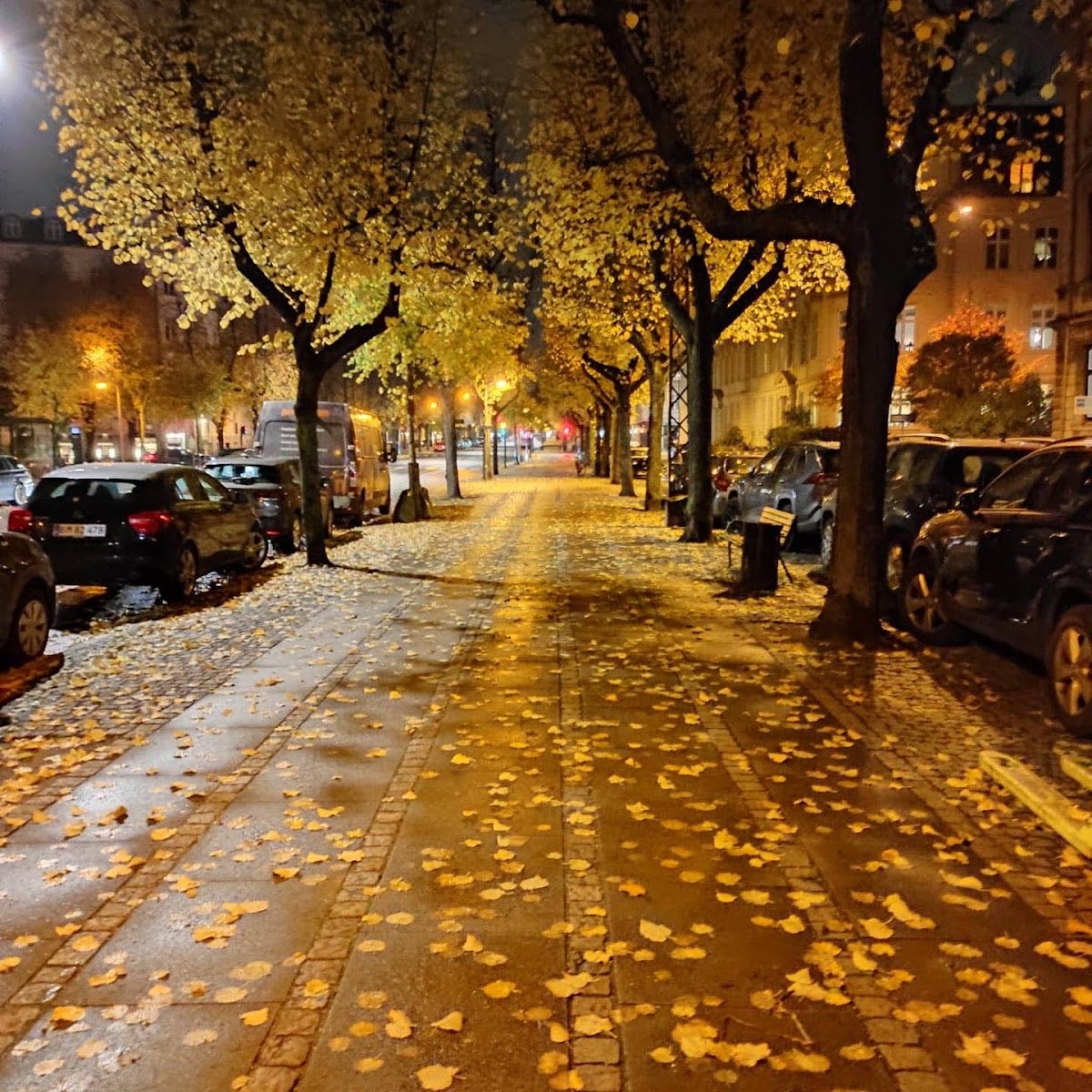 Frederiksberg Allé