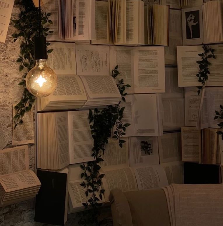 Libros📚