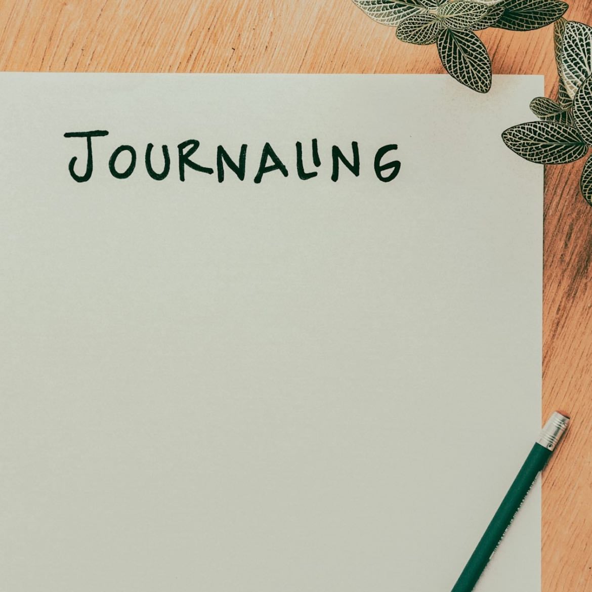escribir un diario