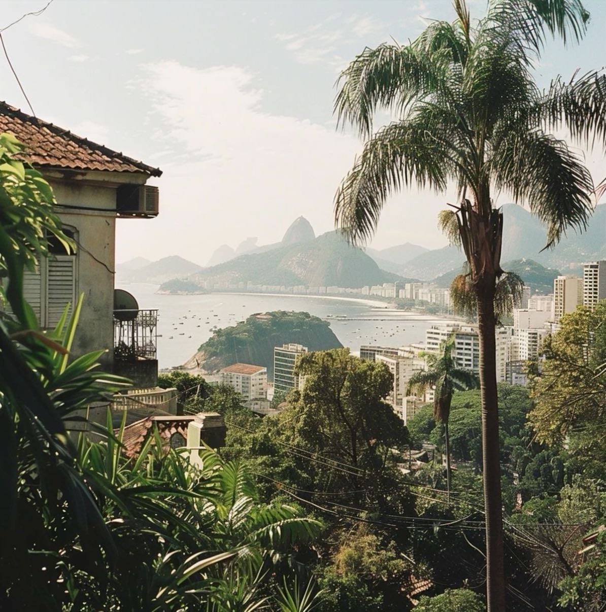 BRAZIL 🥥🥭