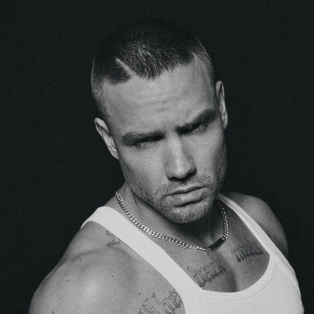 Liam Payne - Artist