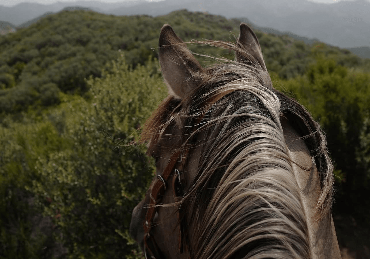 Films for the heart - Movies hypelist by Tal Haim
